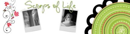 scraps3001.jpg